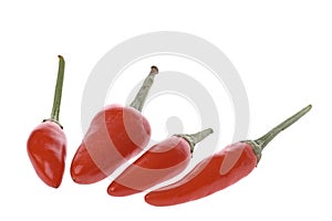 Ripe red chili peppers