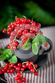 Ripe red currant berries in a bowl. Fresh red currants on dark rustic wooden table. Background with copy space