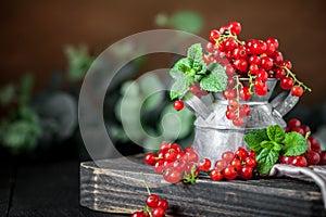 Ripe red currant berries in a bowl. Fresh red currants on dark rustic wooden table. Background with copy space