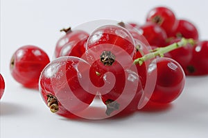 Ripe red currant isolated on white background for high quality advertising and promotions
