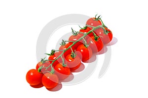 Ripe red fresh cherry tomatoes on green branch isolated on white background