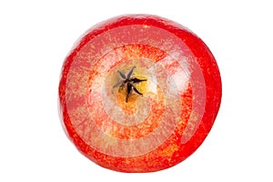 Ripe red fruit isolated on white background. Pomegranate macro studio photo