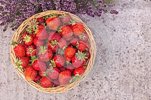 Ripe red garden strawberries in a basket