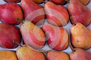 Ripe Red and Gold Forelle Pears