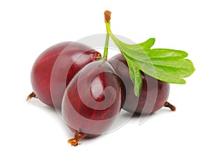 Ripe red gooseberry