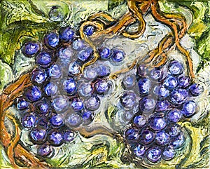 Ripe Red Grape Illustration Painting