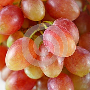 Ripe red grape. Pink bunch with leaves background.  closeup