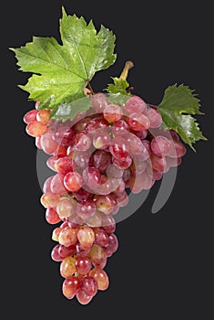 Ripe red grape.