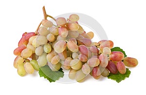 Ripe red grape . Pink bunch with leaves isolated on white