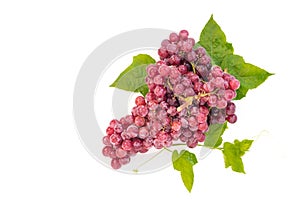 Ripe red grape. Pink bunch with leaves isolated on white background.