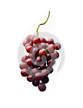 Ripe red grapes on white background