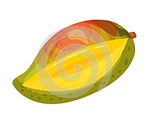 Ripe red green mango notched. Vector illustration on white background.