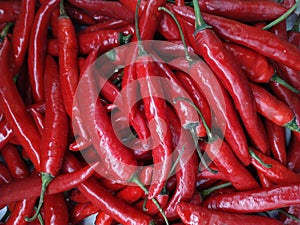 Ripe red hot chili papper at the market