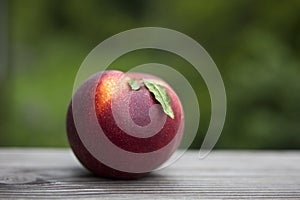 Ripe red juicy peach just picked and ready to eat.