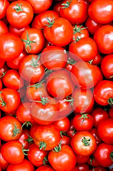 Ripe red juicy tomatoes