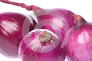 Ripe red onions
