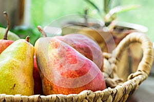 Ripe red organic pears in wicker basket on garden kitchen table by window, potted flowers, soft daylight, cozy atmosphere