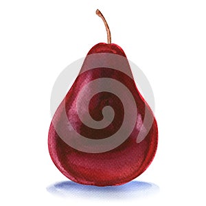 Ripe red pear isolated on white background