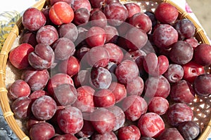 Ripe red plums in a basket