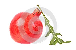 Ripe red pomegranate fruit and fresh green leaf of arugula Rucola or Rocket salad isolated on white background