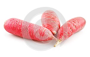 Ripe Red Radish Vegetable Isolated on White