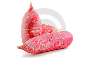 Ripe Red Radish Vegetable Isolated on White