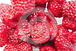 Ripe red raspberries