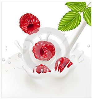 Ripe red raspberries falling into the milky splash