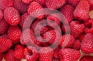 Ripe red raspberries - summer background for design