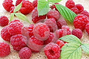 Ripe red raspberries