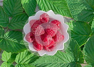 Ripe red raspberries in a white plate on the table on a background of green leaves,