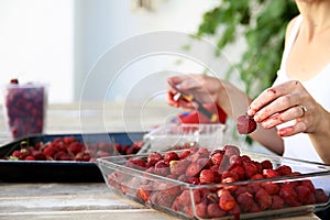 Ripe red strawberries ready to be eaten stock photo