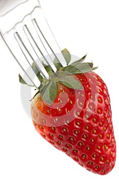 Ripe Red Strawberry On Fork