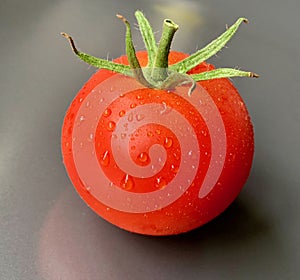 Ripe red tomato kissed by dew