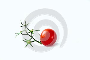 Ripe red tomato white background green branch twig dry one isolate star flower