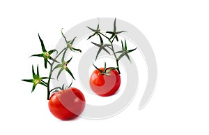 Ripe red tomato white background green branch twig dry one isolate star flower