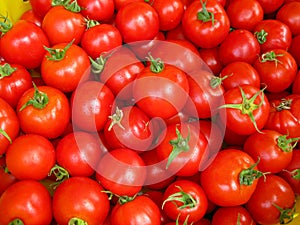 Ripe red tomatoes