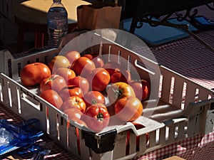 Ripe Red Tomatoes in a Bin at an Outdoor Market