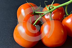 Ripe red tomatoes on a branch on a black background