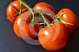 Ripe red tomatoes on a branch on a black background