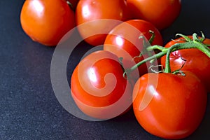 Ripe red tomatoes on a branch on a black background