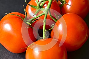 Ripe red tomatoes on a branch on a black background