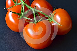 Ripe red tomatoes on a branch on a black background