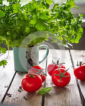 Ripe red tomatoes and a fresh bunch of cilantro in a ceramic mug on a wooden rustic table