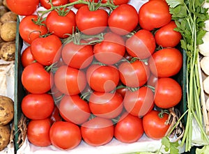 ripe red tomatoes for sale in the fruit and vegetable market