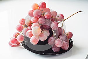 Ripe red wet grape with drops. Pink bunch with leaves