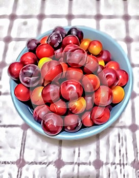 Ripe red and yellow plums on a plate