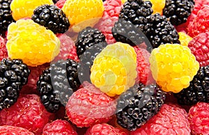 Ripe red and yellow raspberry mulberry