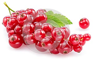 Ripe redcurrant berries on white background. Close-up