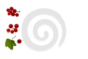 Ripe redcurrants on white background with copy space